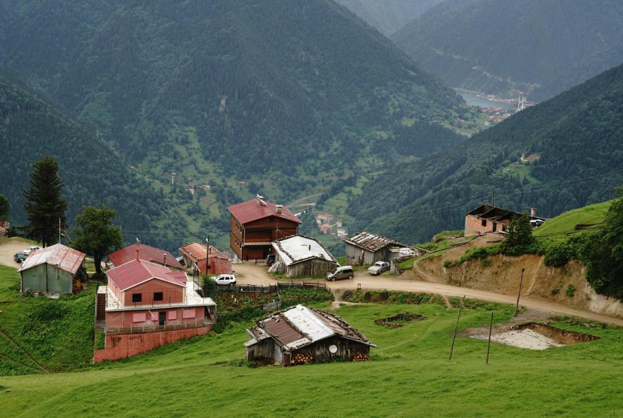 Gumul Pansiyon Uzungöl Exterior foto